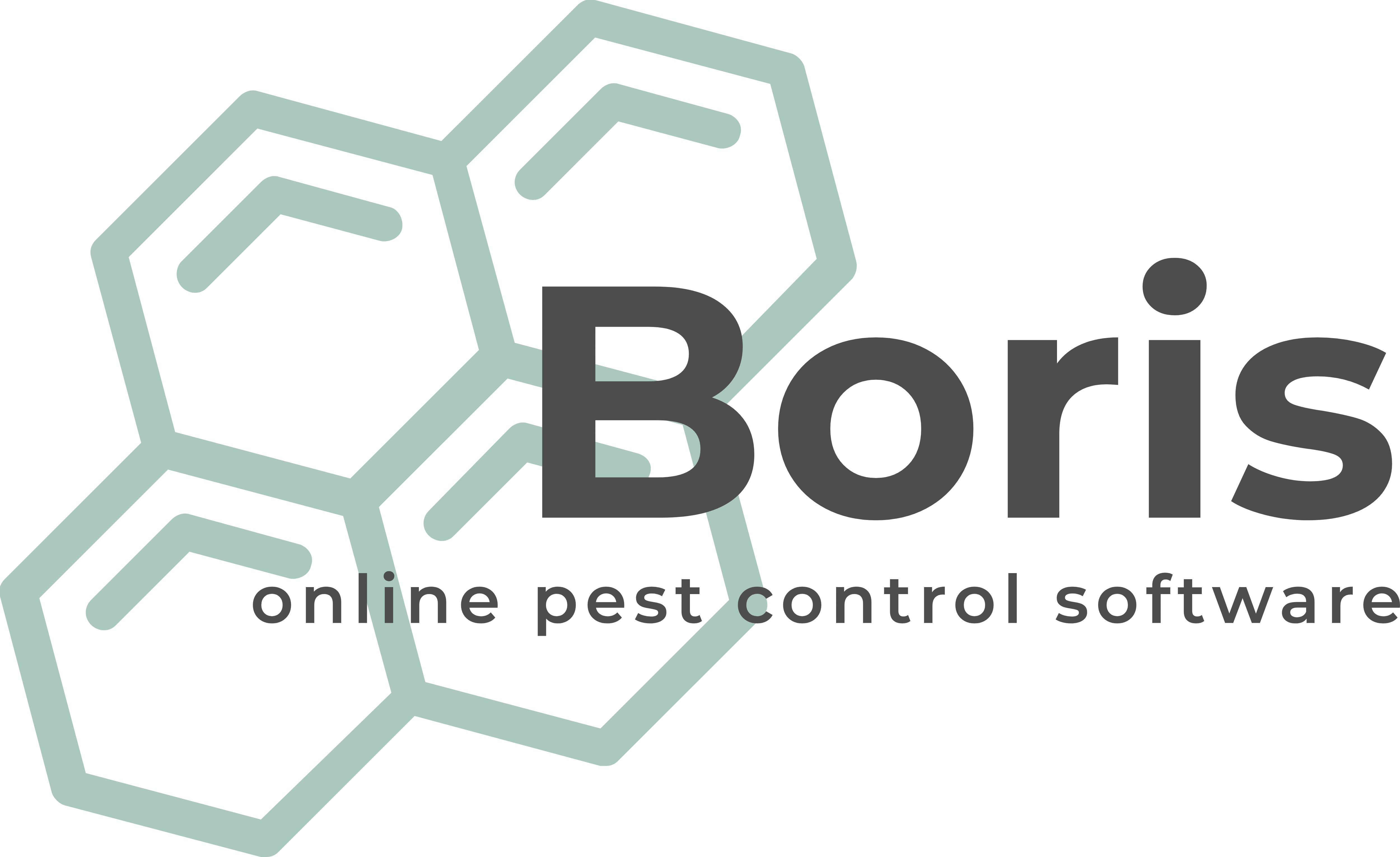 Boris PCS Logo